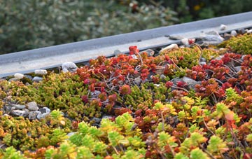 the cost of Goodrington green roof installation
