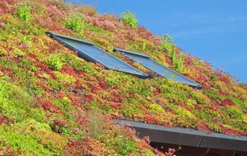 Goodrington living roof systems