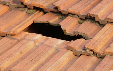 roof repair Goodrington, Devon