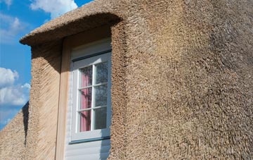 Goodrington thatch roof disadvantages